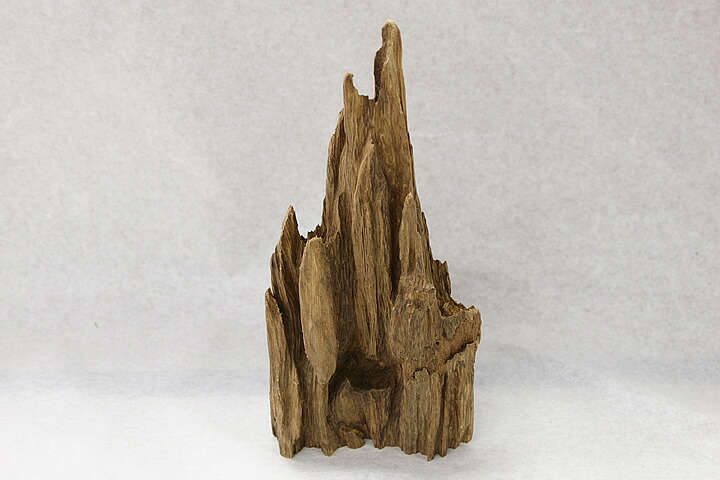 楽天市場】【沈香・香木】タニ沈香（約288グラム 長さ約17.5センチ