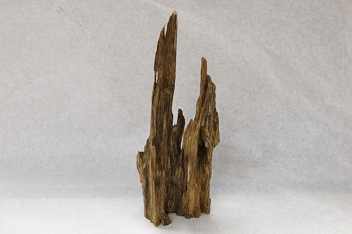 楽天市場】【沈香・香木】タニ沈香（約288グラム 長さ約17.5センチ