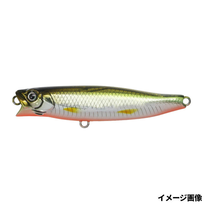 一誠　ワカペン55 3色 G.C.ワカペン 55 | issei [一誠]