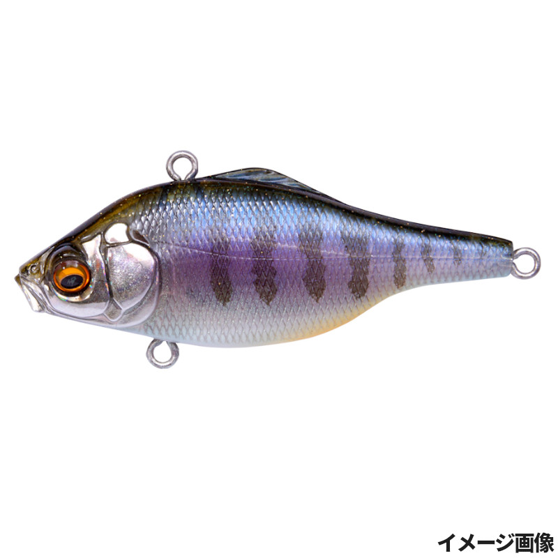 メガバス ルアーセット メガバス バスルアー SR-X GRIFFON GG ワカサギ: 釣具のキャスティング