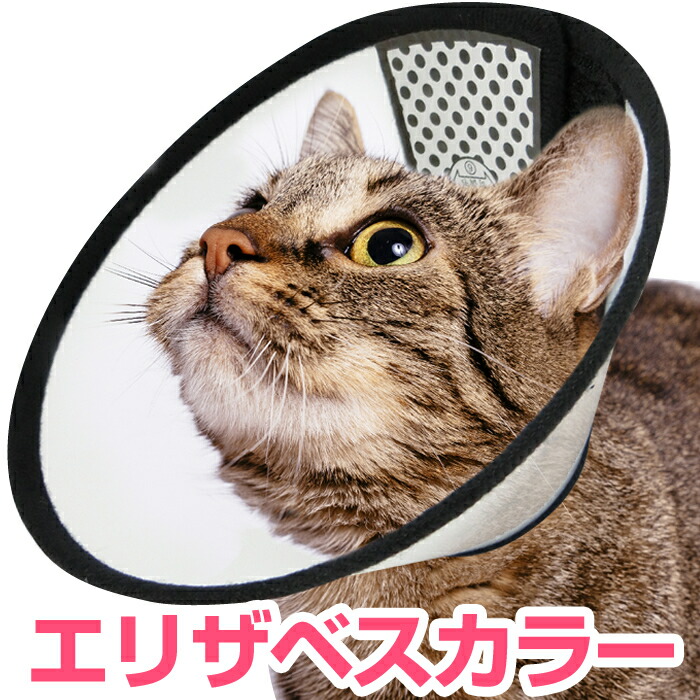 楽天市場 ポイント10倍 エリザベスカラー 猫 フェザーカラー ソフトタイプ S M Lサイズ 傷口 保護具 Mast Cart 楽天市場店