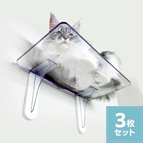 キャットステップ3枚セット Pc4022 3s 猫 ネコ 肉球 キャットステップ キャットウォーク 足場 透明 Diy Psicologosancora Es