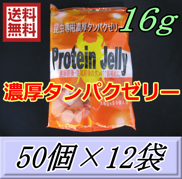 市場 送料無料 16ｇ 濃厚タンパクゼリー 50個入 12袋 プロテインゼリー