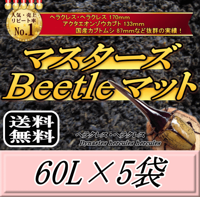 【新発売】文芸批評をお願い致します◆貨物輸送無料！マスターズBeetle引っ敷き 60L×5袋 ヘラクレス170粍の実績！害虫の交ぜる99％なし！ カブトムシ 幼生繁殖用 超高特性 虫けら引っ敷き 幼生のエサ 土