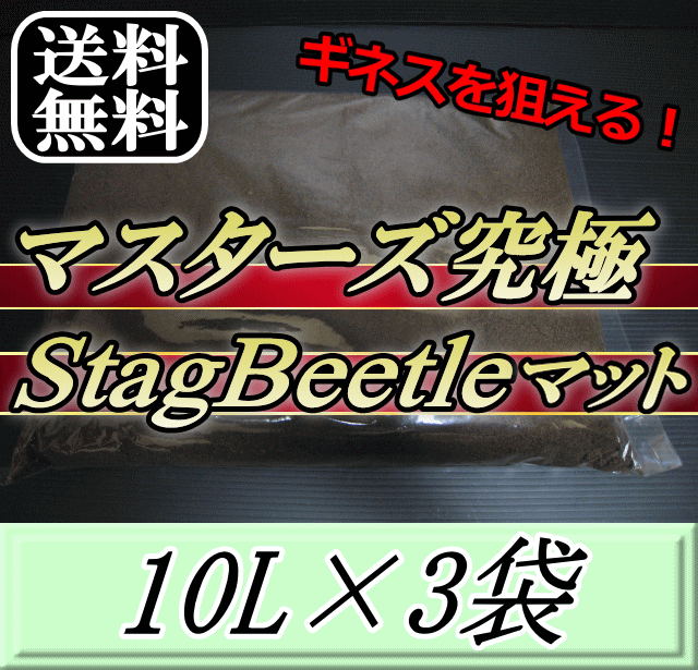 文芸批評をお願い致します◆貨物輸送無料！マスターズ窮まりStag Beetle引っ敷き 10L×3袋 ミヤマ フタマタ ツヤ桑でアレックギネスを狙える目覚ましい位置づけるのクワガタ引っ敷き！害虫の交ぜる99％なし！ クワガタムシ 幼生繁殖用 超高特性 虫けら引っ敷き 幼生のエサ 土