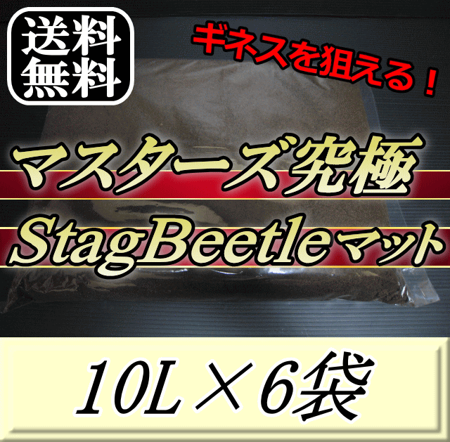 【メーカー包装済】レビューをお願い致します 送料無料 マスターズ究極Stag Beetleマット 10L&times;6袋　ミヤマ フタマタ ツヤクワでギネスを狙える最高ランクのクワガタマット 害虫の混入99％なしクワガタムシ 幼虫飼育用 超高品質 昆虫マット 幼虫のエサ 土 ダイナステス マスターズ 廣島