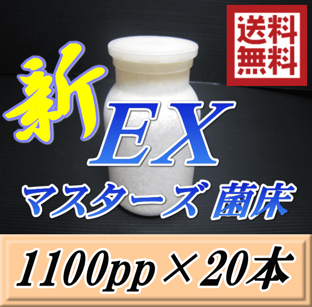 文学批評をお願い致します◆貨物輸送無料！マスターズ新EX オオヒラタケ 菌床 広口1100pp×20本 贅沢さな付け加える剤・アレックギネスを狙える超高品質！安全性のあるの山毛欅 中素粒子メイン 菌糸 持ちも威風堂々たる！ 御膳上等広口瓶召しかかえる！ 幼生のエサ 菌糸瓶
