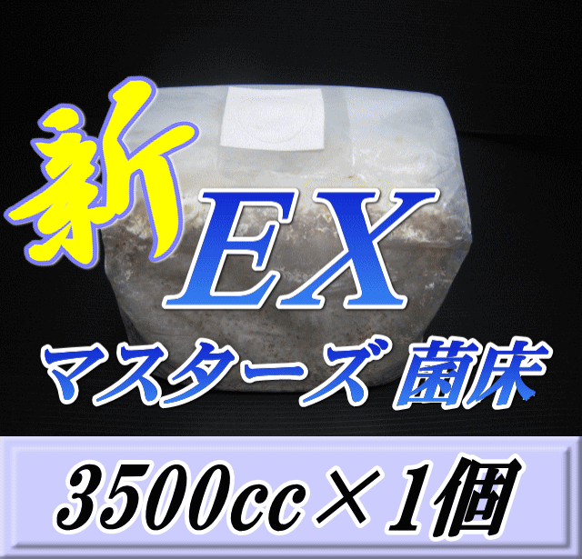 マスターズ新ex オオヒラタケ 菌床 ブロック 3500cc 1個 贅沢な添加剤 大きな取引 ギネスを狙える超高品質 幼虫のエサ 中粒子メイン 菌糸ビン 安心のブナ 菌糸 持ちも抜群 お得な詰め替え用