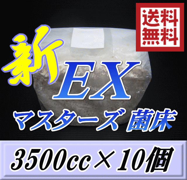 文学批評をお願い致します◆貨物輸送無料！マスターズ新EX オオヒラタケ 菌床 立ちはだかる 3500cc×10個 贅沢さな付け加える剤・アレックギネスを狙える超高品質！安全性のあるの山毛欅 中素粒子メイン 菌糸 持ちも威風堂々たる！ 幼生のエサ 菌糸瓶 お得な詰め替え用！