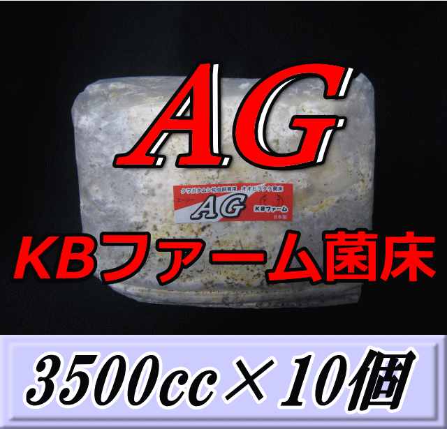 文学批評をお願い致します◆貨物輸送無料！AG （オオヒラタケ） 菌床 立ちはだかる 3500cc×10個 KB農園製