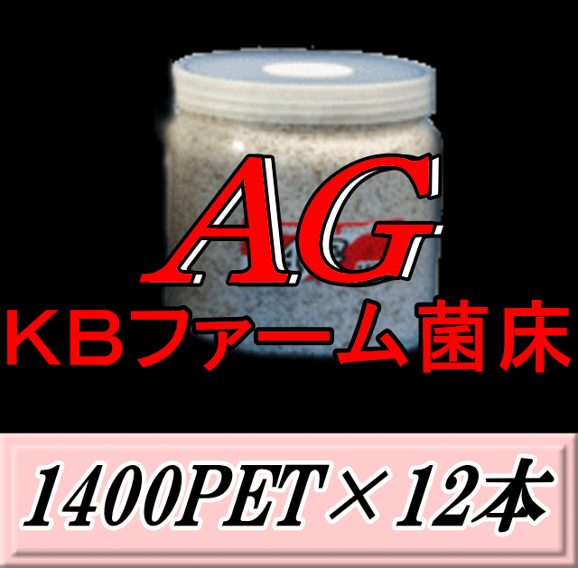 新発売SALE！原則として16,080円→15,300円◆文学批評をお願い致します◆貨物輸送無料！AG （オオヒラタケ） 菌床 1400PET×12本 せつ然たる瓶 手詰め2次発菌 KB農園製