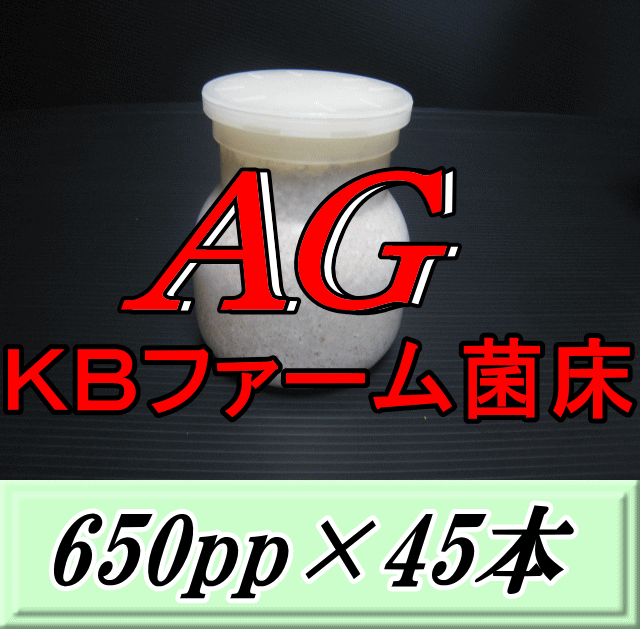 新発売SALE！原則として15,975円→15,300円◆文学批評をお願い致します◆貨物輸送無料！AG （オオヒラタケ） 菌床 650pp×45本 KB農園製