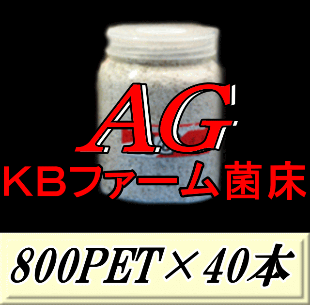 新発売SALE！原則として33,200円→31,600円◆文学批評をお願い致します◆貨物輸送無料！AG （オオヒラタケ） 菌床 800PET×40本 せつ然たる瓶 手詰め2次発菌 KB農園製
