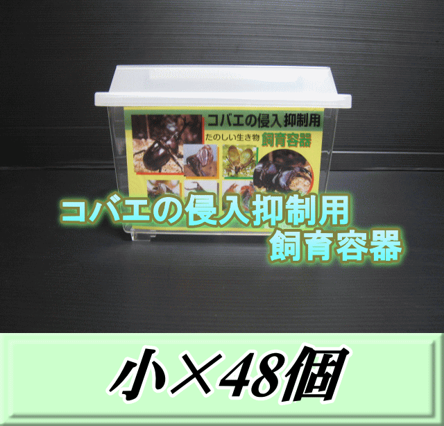 文学批評をお願い致します◆貨物輸送無料！コバエの出しゃばる押さえ付ける用繁殖容れもの 小 48個