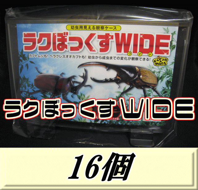 日本産 レビューをお願い致します 送料無料 見える観察ケース ラクぼっくす Wide ワイド ヘラクレスオオカブト用 16個 数量は多 Lexusoman Com