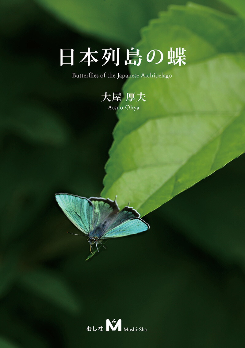 文学批評をお願い致します◆貨物輸送無料！【新品】日本諸島の蝶 （有）むし社