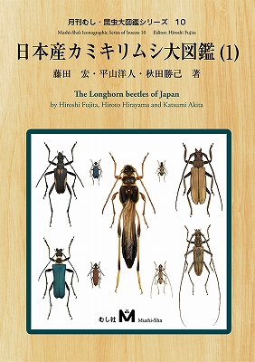 レビューをお願い致します◇送料無料！日本産カミキリムシ大図鑑（1