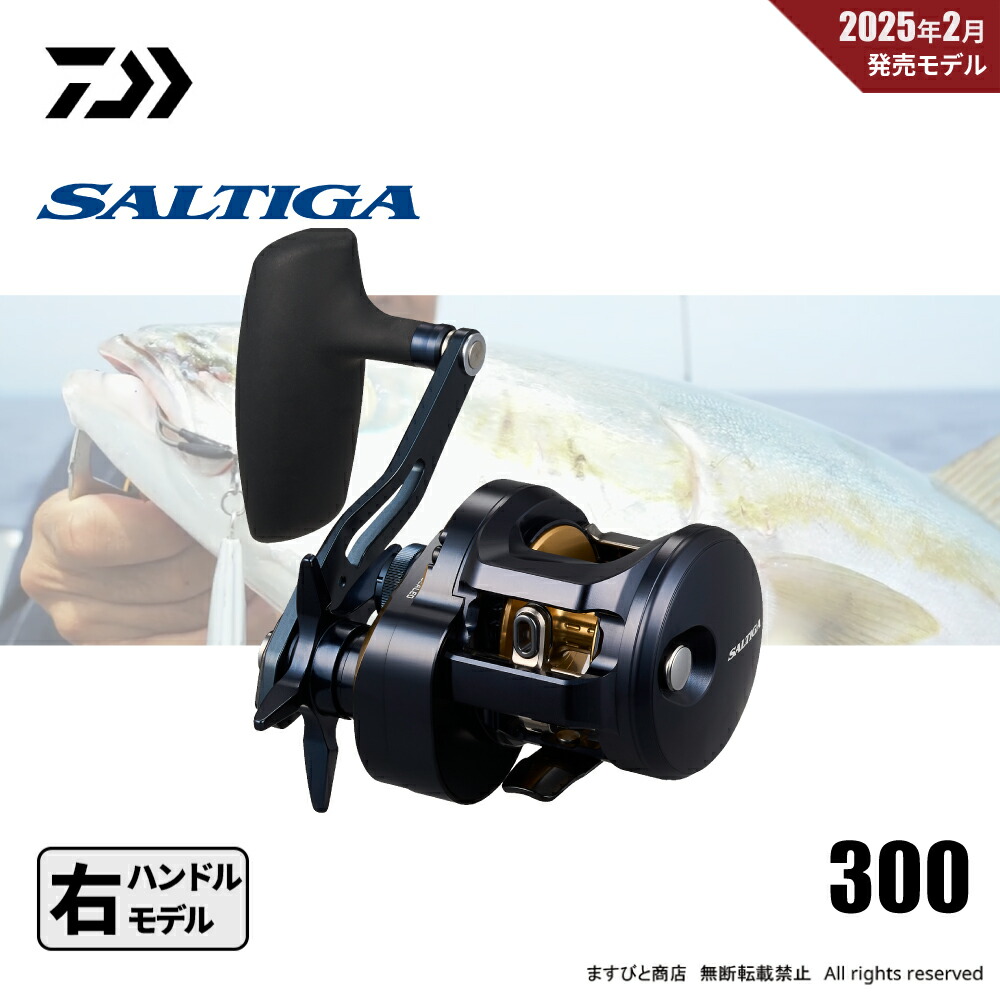 新品ダイワ25ソルティガ 300HL f-marunishi_4550133352874