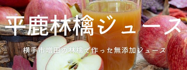 楽天市場】【送料無料】ＪＡ秋田ふるさと りんごジュース ふじ 無添加 １８０g １２０パック １０パック１２箱 : 増田物産プランニング