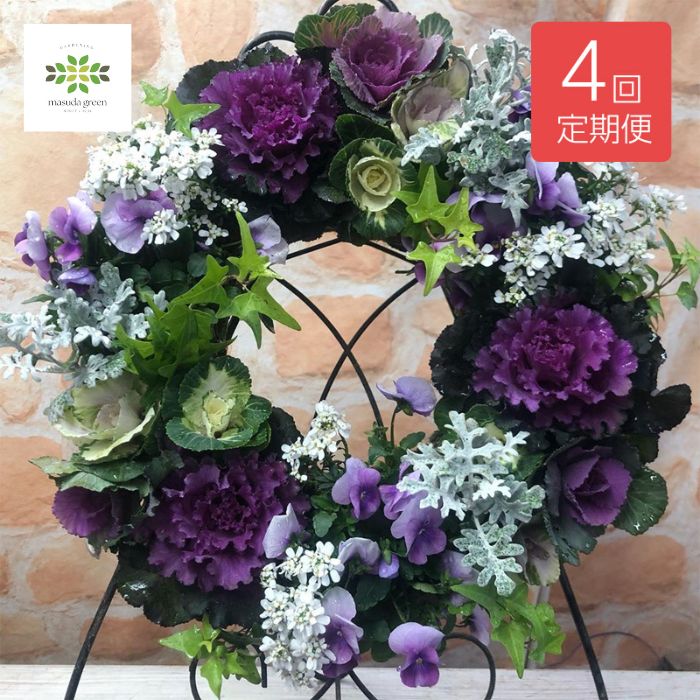 楽天市場】葉牡丹 ハンギングリース 《時期限定！》 季節の寄せ植え 12