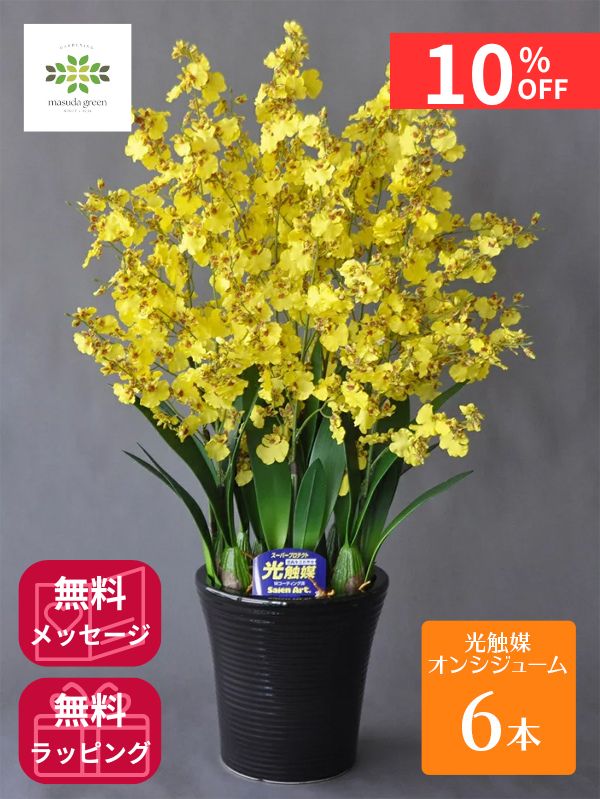 百貨店SALEでお得にGET (2026.06.04～)