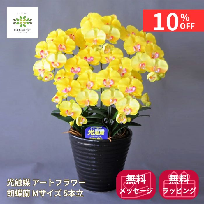 百貨店SALEでお得にGET (2026.06.04～)