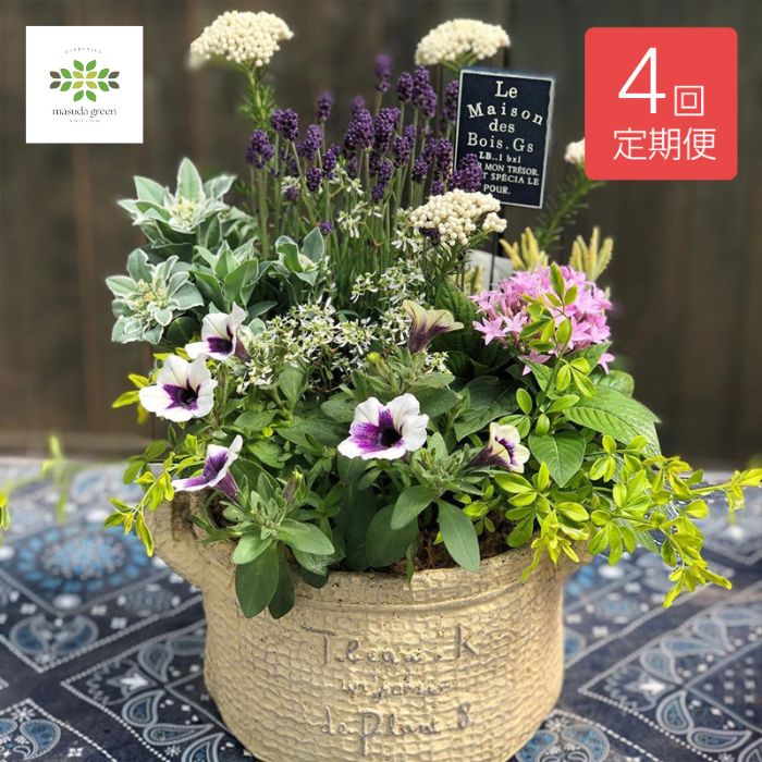 百貨店SALEでお得にGET (2026.06.04～)