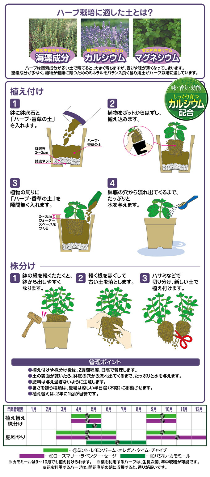 貨物輸送無料 草匂い草の陸地 12l 4袋 御花ごころ ストロフルス ローズマリー カモミール ハーブ種 ガーデニング 土 園芸 Chspandc Org Au