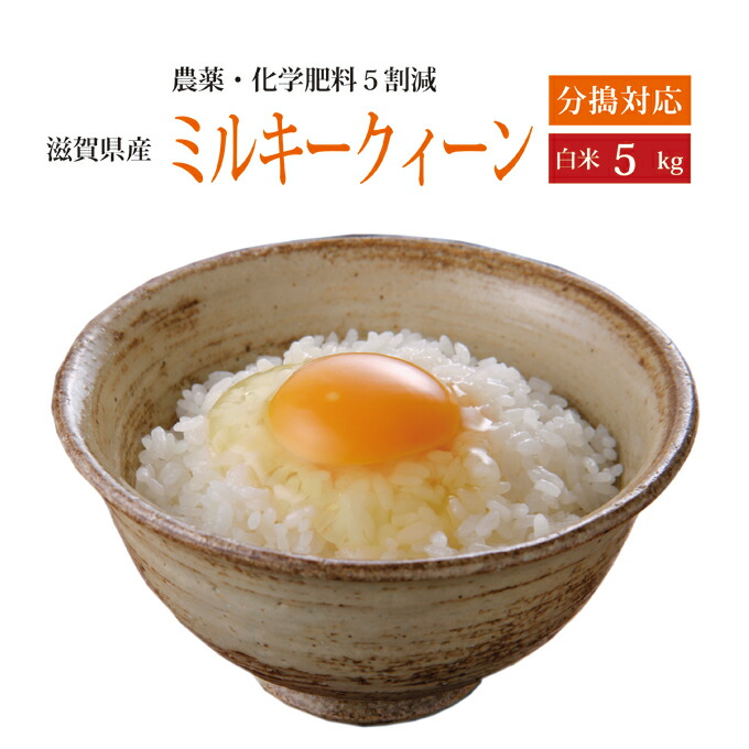 楽天市場】令和6年産 滋賀県産 10キロ キヌヒカリ 近江米 きぬ