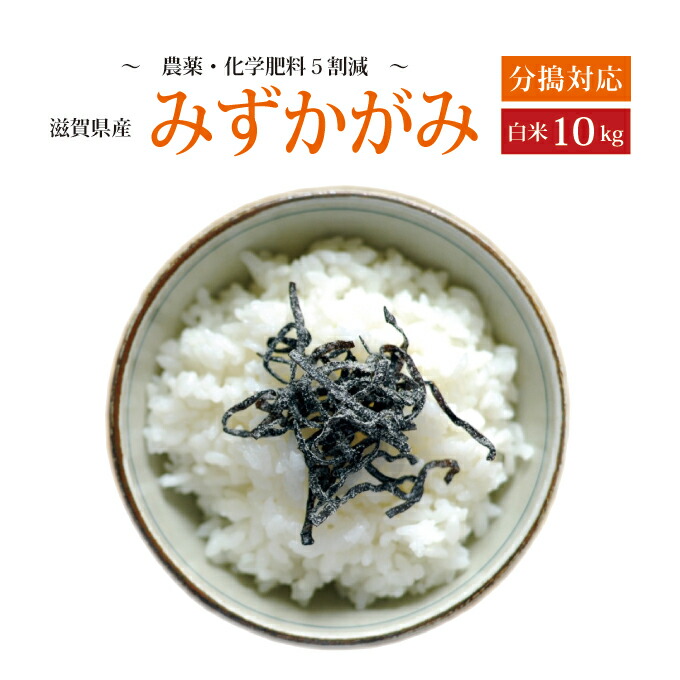 【令和6年産】【特別栽培米】<br>【本州・四国　送料無料】<br>滋賀県認証環境こだわり米<br>【2024年産】滋賀県産<br>特別栽培米<br>みずかがみ<br>白米　10ｋｇ [5ｋｇ×2袋]<br>選べる分搗き<br>