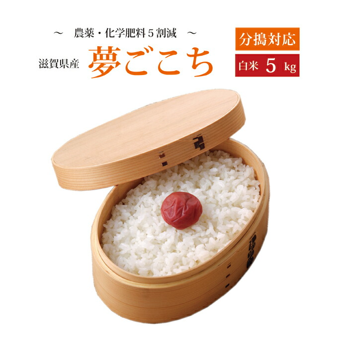 よしももももも様　特別米　10kg(5kg×2) 07-07-008 もも(CX)大玉2.5kg - 山形県天童市｜ふるさと