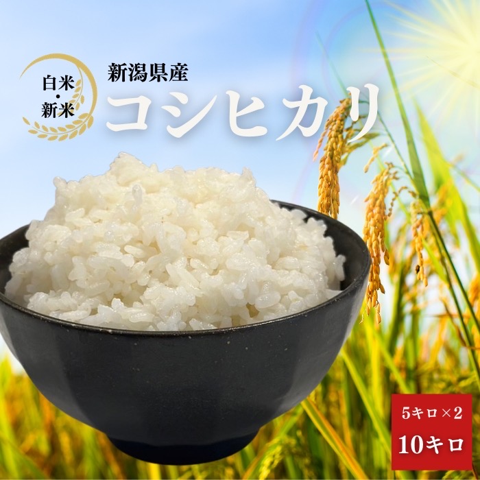 【新米】ブレンド米10kg 令和6年産 新潟産こしひかり 上越 白米 10kg (5kg×2袋) コシヒカリ こしひかり 環境に配慮したプレミアム米 自然に優しいお米 食べて応援 新潟県産 米 お米 あす楽 送料無料 (沖縄を除く) プレゼント 10キロ