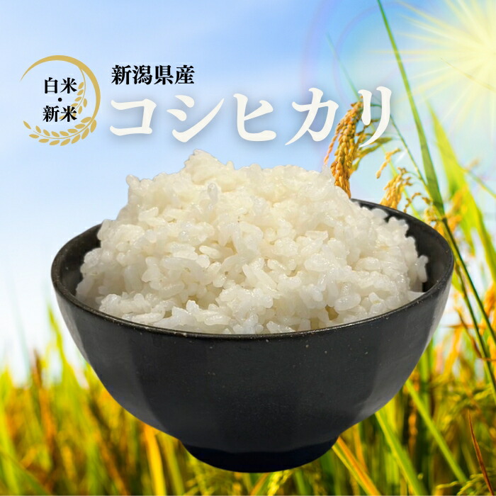 【新米】5kg 令和6年産 新潟産こしひかりブレンド米上越 白米 コシヒカリ こしひかり 環境に配慮したプレミアム米 自然に優しいお米 食べて応援 新潟県産 米 お米  送料無料 (沖縄を除く) プレゼント 5キロ