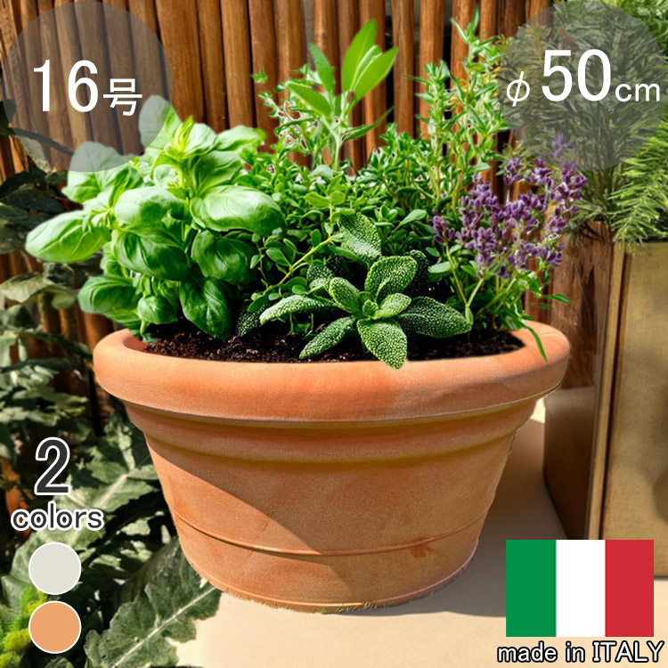 楽天市場】イタリア製 プランター トリノ φ60cm H23cm 20号相当