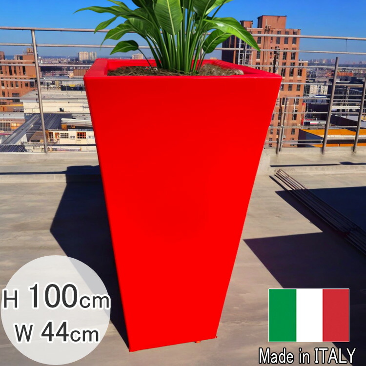 セラルンガ　赤　鉢　インテリア　観葉植物 セラルンガ赤鉢インテリア観葉植物