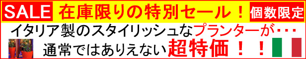 楽天市場】大型プランター！ビッグポット95 【底穴あり】直径95cmのイタリア製プランター ガーデニング ナーセリーポット プラスチック 植木鉢 黒  樹脂 : マスキ