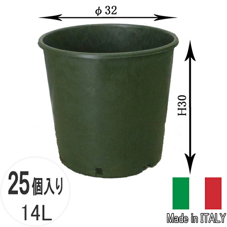 ココスヤシ 45Lナーセリーポット 安心の鉢植え ココスヤシ（中型サイズ