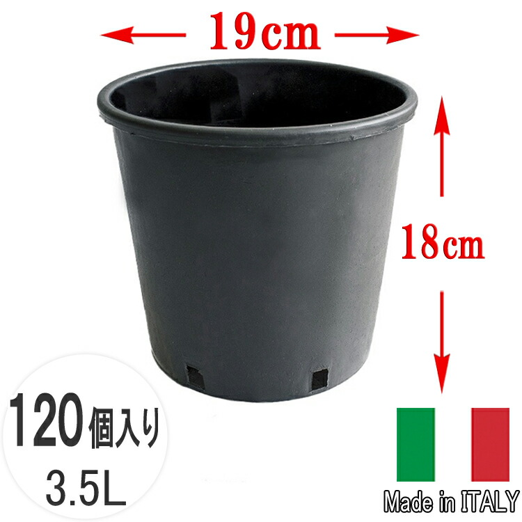 貨物輸送無料 ナーセリーポット19 120個仕掛ける 6号 3.5L φ19糎 持ち手なし イタリア製 プランター 御花ポット 丸 小型 弱められた 黒 黒いこと 鉢 分かりやすい 可塑性物質 思わしい ガーデニング 総やか まとめ 生み出すこと者 栽培所 お役目用 労働者階級 園芸 苗 作りだす ミニ 観葉草木 多肉植物 RP19