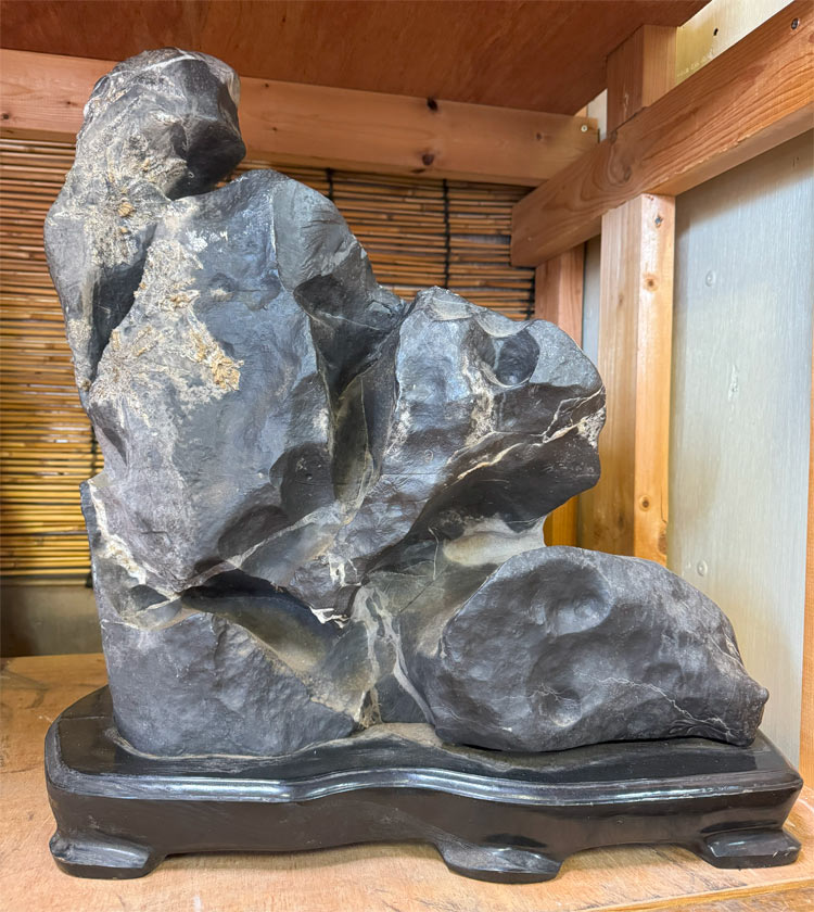 楽天市場】菊花石 【47】高さ約58cm 幅約36cm 景石 天然石 置物 飾り石