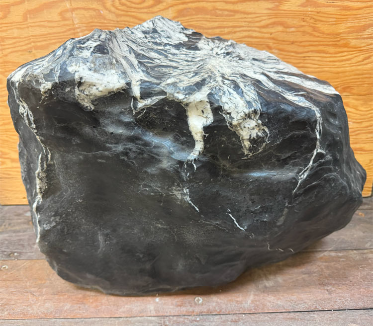 楽天市場】菊花石 【42】台付き 高さ約68cm 鑑賞石 盆石 景石 飾り石