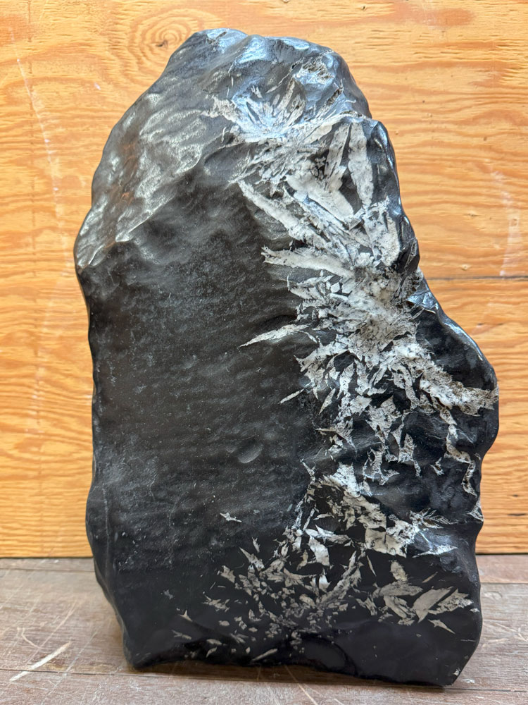 秋草の花石 【51】高さ約39糎 幅約26糎 景石 飾りつけ 天然石 気取らない石 貨物輸送無料 滅多に無い 把捉石 銘石 飾りつけ石 力強さ石ころ 盆石 水石 気取らないの美術！