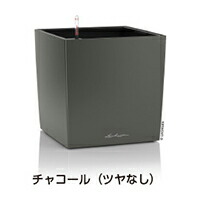 ＦＲＧ製デザインプランター 正六面体 割り増し金 40 濃灰色 （幅40糎 高さ40糎） 根もと灌水仕掛ける付 貨物輸送無料 Cube Premium レチューザ Lechuza LE-3440 MADE IN GERMANY 観葉草木 可塑性物質 軽さ 御花ポット 鉢覆いかぶせる 真四角 鉢 鉢植え 室外 今めかしい