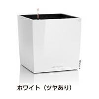 ＦＲＧ製デザインプランター 正六面体 割り増し金 40 白いこと （幅40糎 高さ40糎） 根もと灌水仕掛ける付 貨物輸送無料 Cube Premium レチューザ Lechuza LE-3440 MADE IN GERMANY 観葉草木 可塑性物質 軽さ 御花ポット 鉢覆いかぶせる 真四角 鉢 鉢植え 室外 今めかしい