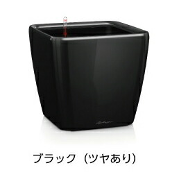 クアドロ 滑稽者 50 黒いこと ＦＲＧ製デザインプランター （幅50糎 高さ47糎） 根もと灌水仕掛ける付 QUADRO JOKER LE-2050AJ 貨物輸送無料 レチューザ Lechuza Premium MADE IN GERMANY  観葉草木 可塑性物質 御花ポット 鉢覆いかぶせる 真四角 鉢 鉢植え 室外 今めかしい
