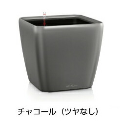 クアドロ 滑稽者 50 濃灰色 ＦＲＧ製デザインプランター 幅50糎 高さ47糎 根もと灌水仕掛ける付 QUADRO JOKER LE-2050AJ 貨物輸送無料 レチューザ Lechuza Premium MADE IN GERMANY  観葉草木 可塑性物質 御花ポット 鉢覆いかぶせる 真四角 鉢 鉢植え 室外 今めかしい