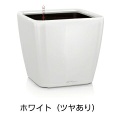 クアドロ 滑稽者 50 白いこと ＦＲＧ製デザインプランター （幅50糎 高さ47糎） 根もと灌水仕掛ける付 QUADRO JOKER LE-2050AJ 貨物輸送無料 レチューザ Lechuza Premium MADE IN GERMANY  観葉草木 可塑性物質 御花ポット 鉢覆いかぶせる 真四角 鉢 鉢植え 室外 今めかしい