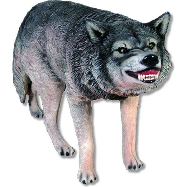 狼 Wolf 強化因子可塑性物質（FRP） 芸術オブジェ 狼 毛の荒物 像 飾りつけ 実物大 図形 映える ガーデニング 庭 入り口・入口 外 室内装飾 毛の荒物 他愛も無い 園地 飾りもの お女主人 軽さ 等身大 見せびらかす バス発着場 毛の荒物園 運動場 fr100096