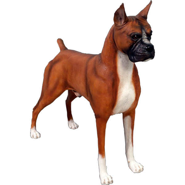 楽天市場】犬の置物 ボクサー ティーカップドッグ Aタイプ ※商品箱