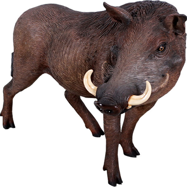 アフリカ産イボイノシシ African Warthog 強化因子可塑性物質（FRP） 作物オブジェ  猪 飾りつけ 毛の荒物 たわい無い 図形 いの小用 即物的 毛の荒物 像 実物大 軽さ 苑地 飾りつけ 等身大 室内装飾 見せびらかす バス発着場 毛の荒物園 運動場 fr130055