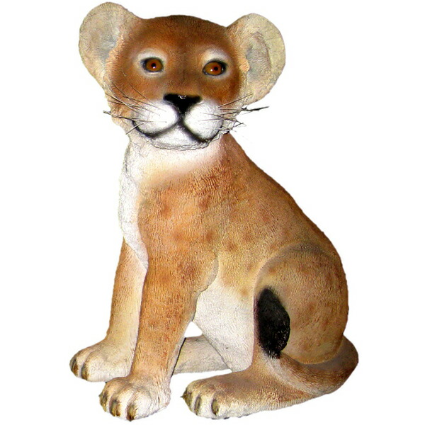 FRPアニマルオブジェ 見つめる子ライオン Lion Cub Sitting かわいい リアル 動物 像 置物 らいおん フィギュア 動物園 店舗 カフェ 喫茶店 実物大 ガーデニング オーナメント 大きい 庭 屋外 レストラン 飲食店 インテリア 室内 イベント ディスプレイ 等身大 fr080118